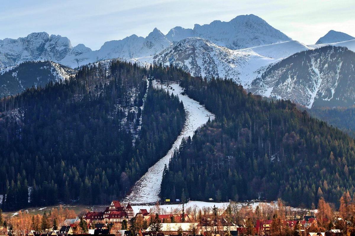 Nosal Ski & Wine Apartments Zakopane Buitenkant foto